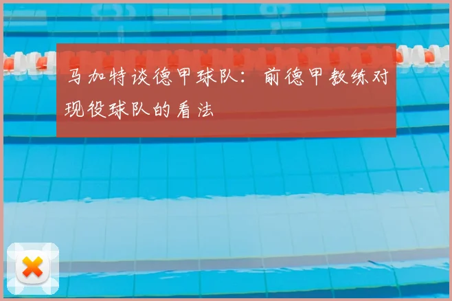 马加特谈德甲球队:前德甲教练对现役球队的看法