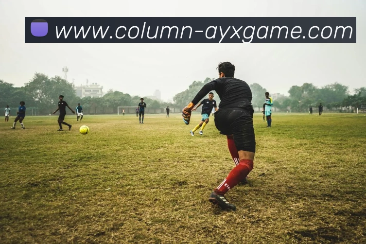 爱游戏发展历程